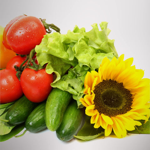 AeroGarden kit en uso dentro de la unidad con plantas creciendo y ahorro de espacio