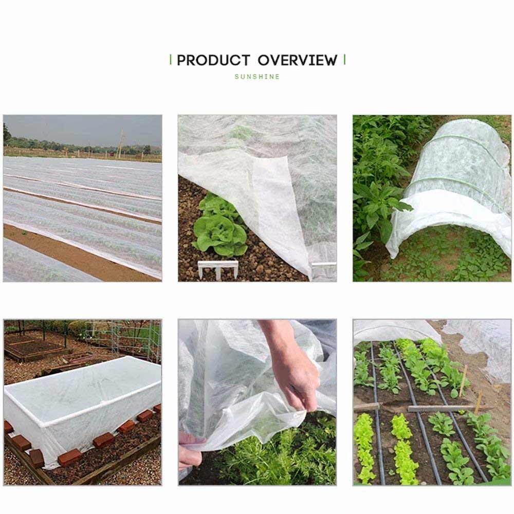 Agfabric cobertura sobre árbol frutal joven para evitar heladas