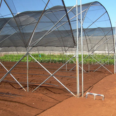 Agfabric malla instalada en invernadero protegiendo plantas y reduciendo calor