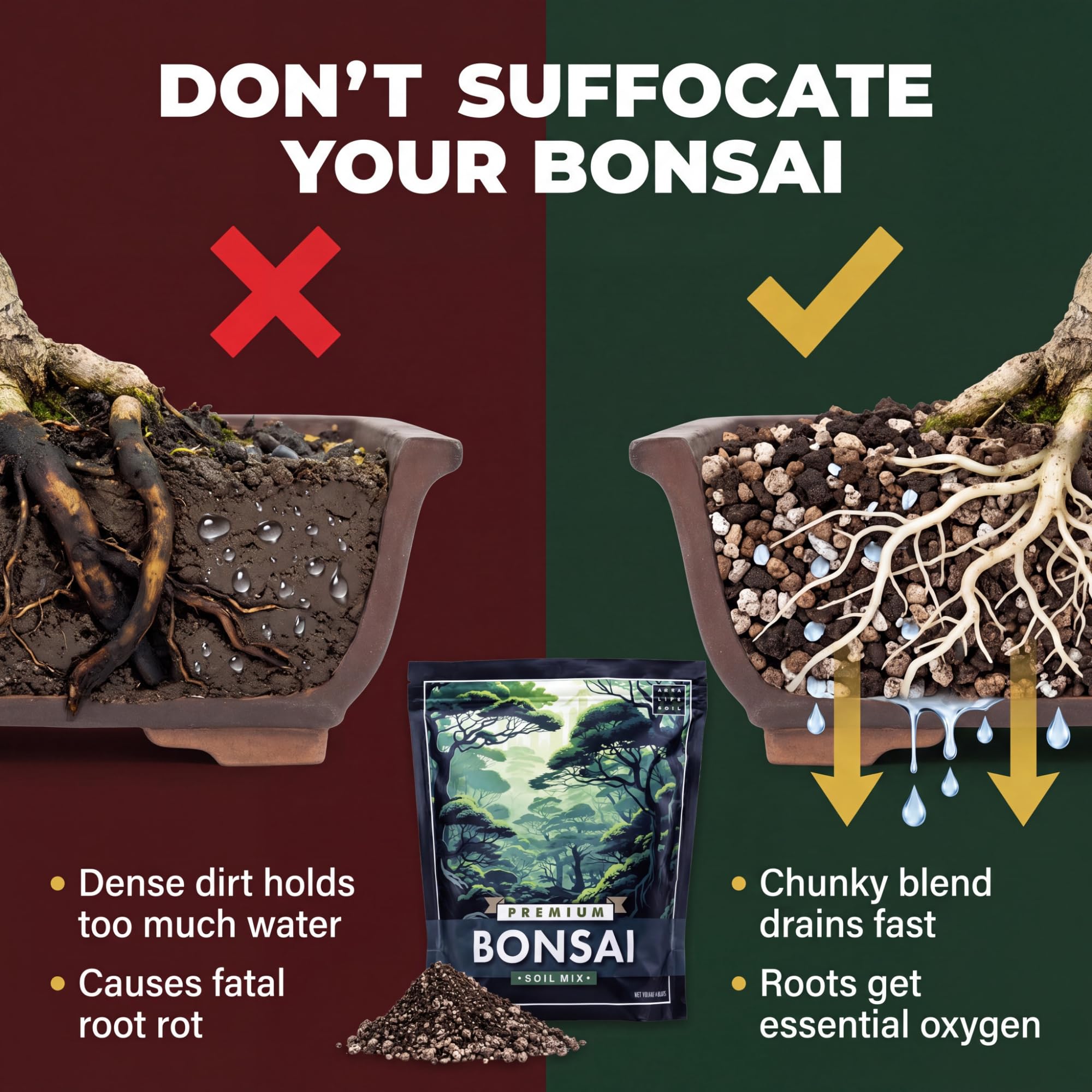 Agra Life ambiente lifestyle con bonsái mostrando resultado estético saludable