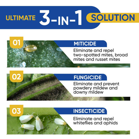 AgroMagen GrowSafe en pulverizador aplicando foliarmente, control efectivo
