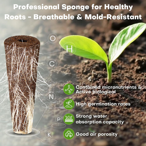 Ahopegarden primer plano de textura de esponja que mejora oxigenación de raíces