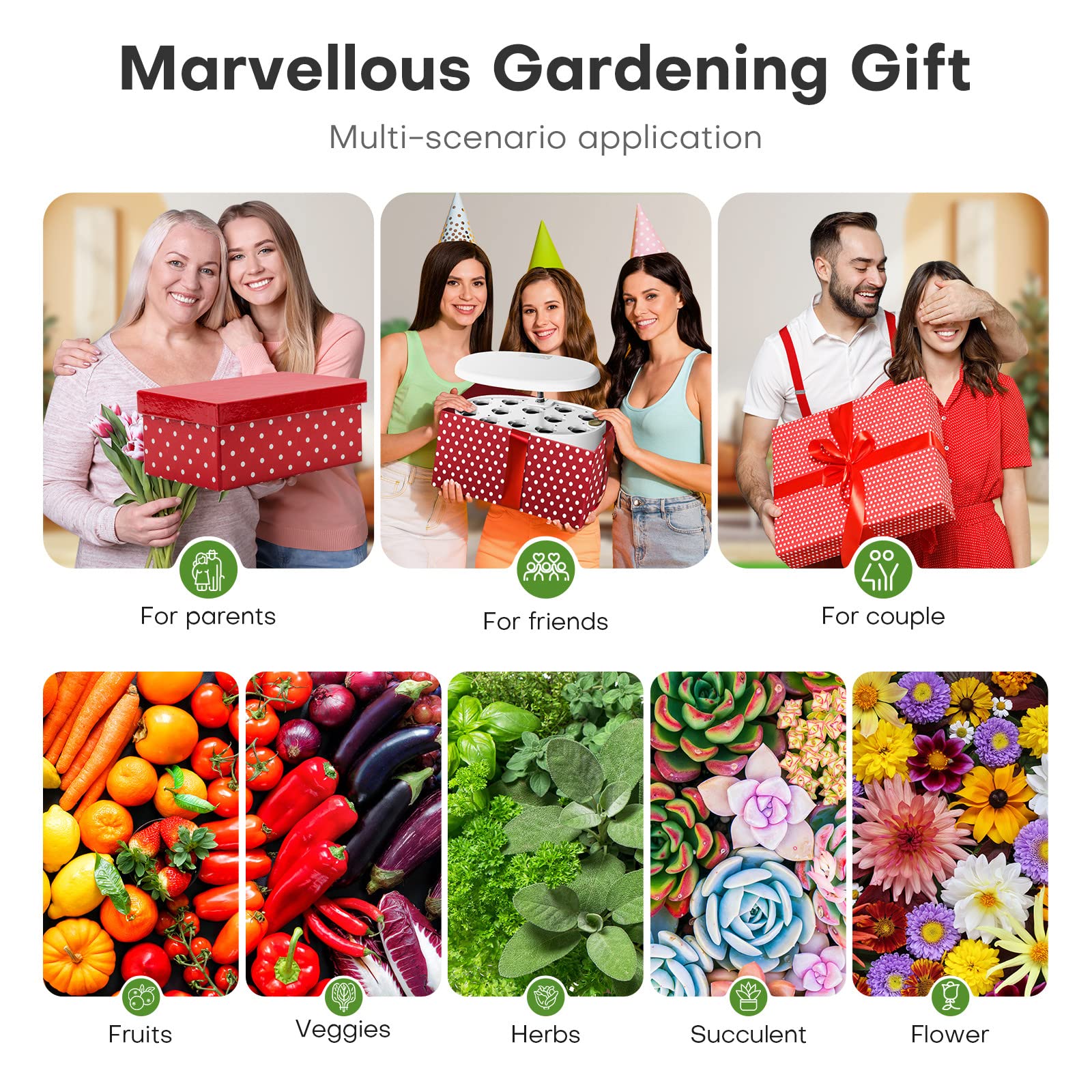 Ahopegarden kit y accesorios en caja mostrando componentes incluidos y montaje fácil