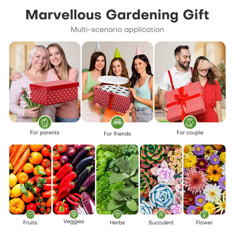 Ahopegarden kit y accesorios en caja mostrando componentes incluidos y montaje fácil