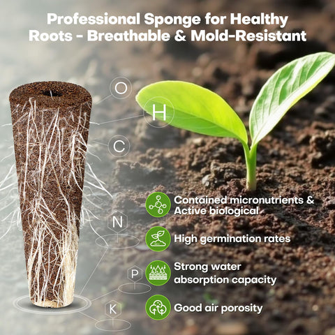 Ahopegarden botellas A y B de nutrientes para alimentación contínua y balanceada