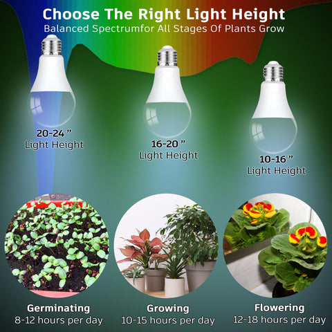 ALIDE plantas creciendo bajo la luz mostrando hojas más densas