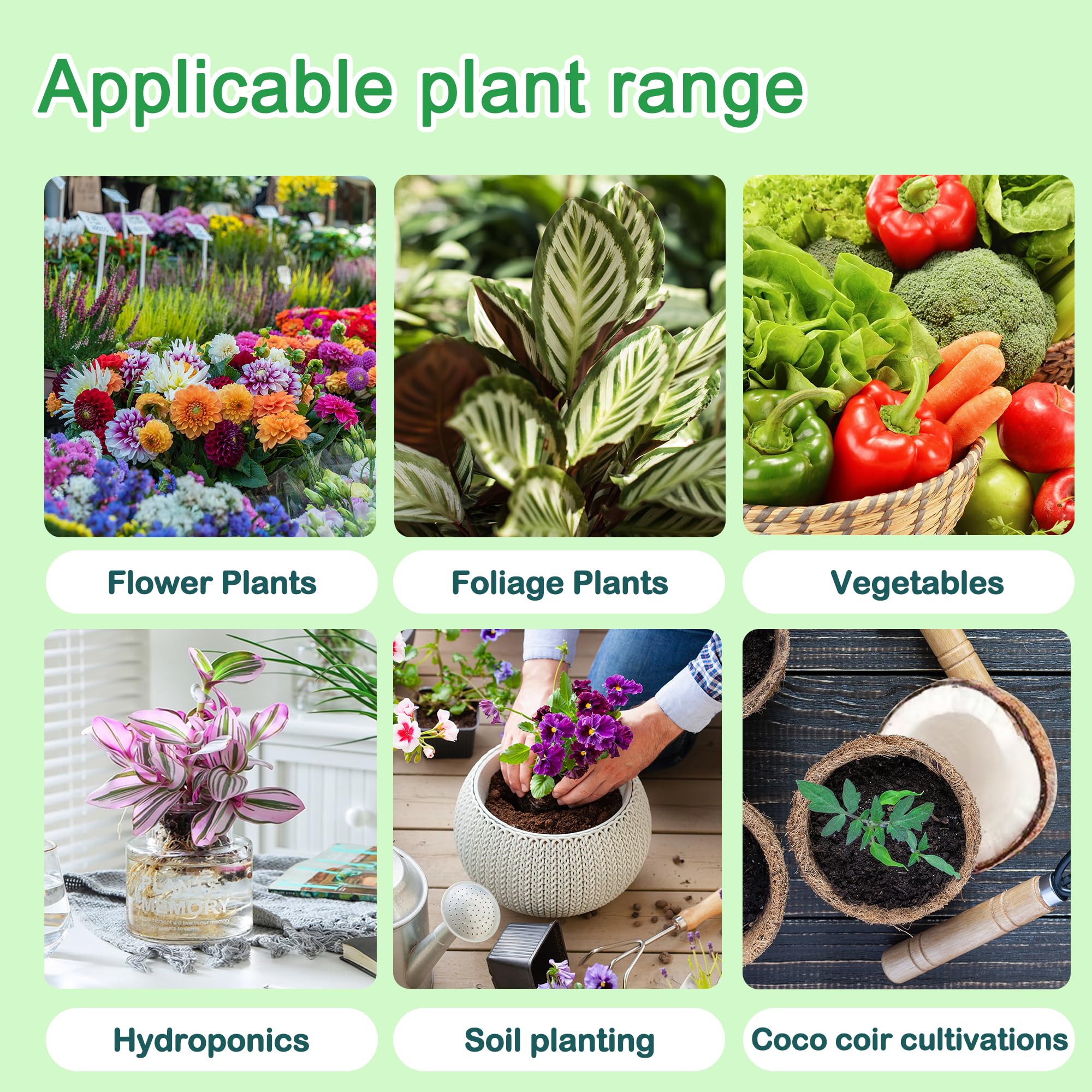 ALIINKD kit en ambiente interior, muestra uso real y plantas más vigorosas
