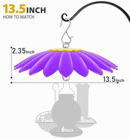 andergi en jardín morado que atrae colibríes y embellece el espacio