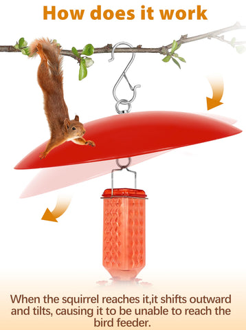 andergi comedero colibrí en uso en jardín protegido