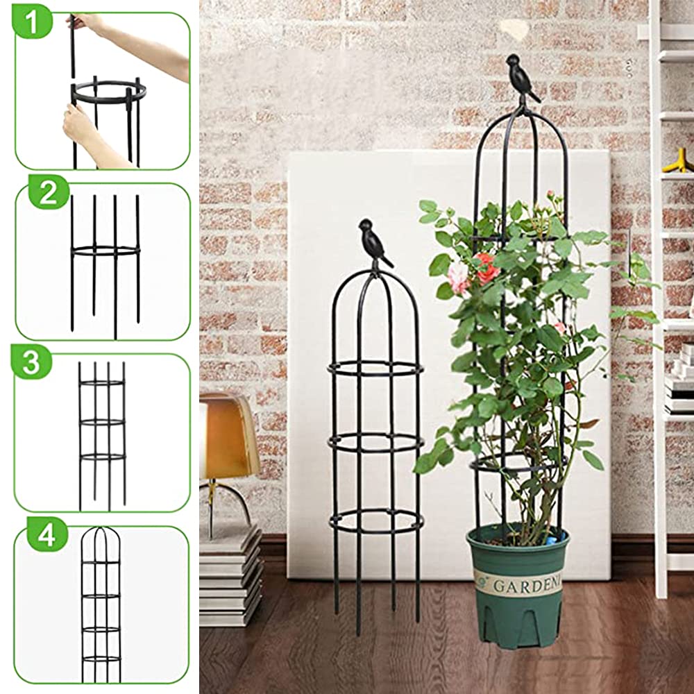 Anothera en patio negro como pieza decorativa que armoniza con plantas