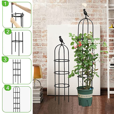 Anothera en patio negro como pieza decorativa que armoniza con plantas