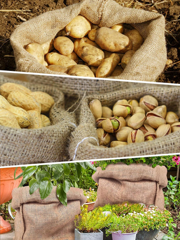 ANPHSIN bolsa usada en jardín protegiendo planta y evitando frío ligero