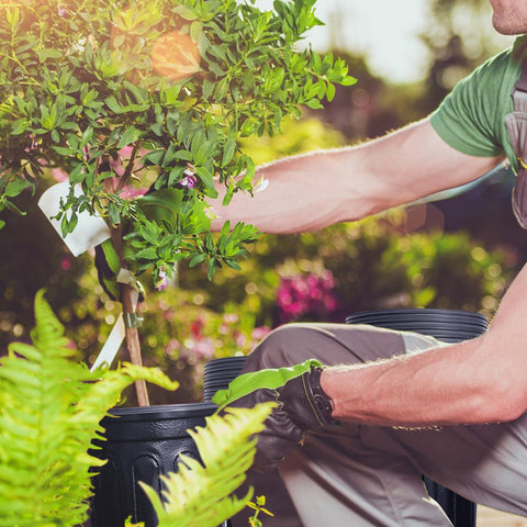 Anyumocz macetas en balcón con plantas, aspecto estético y funcional