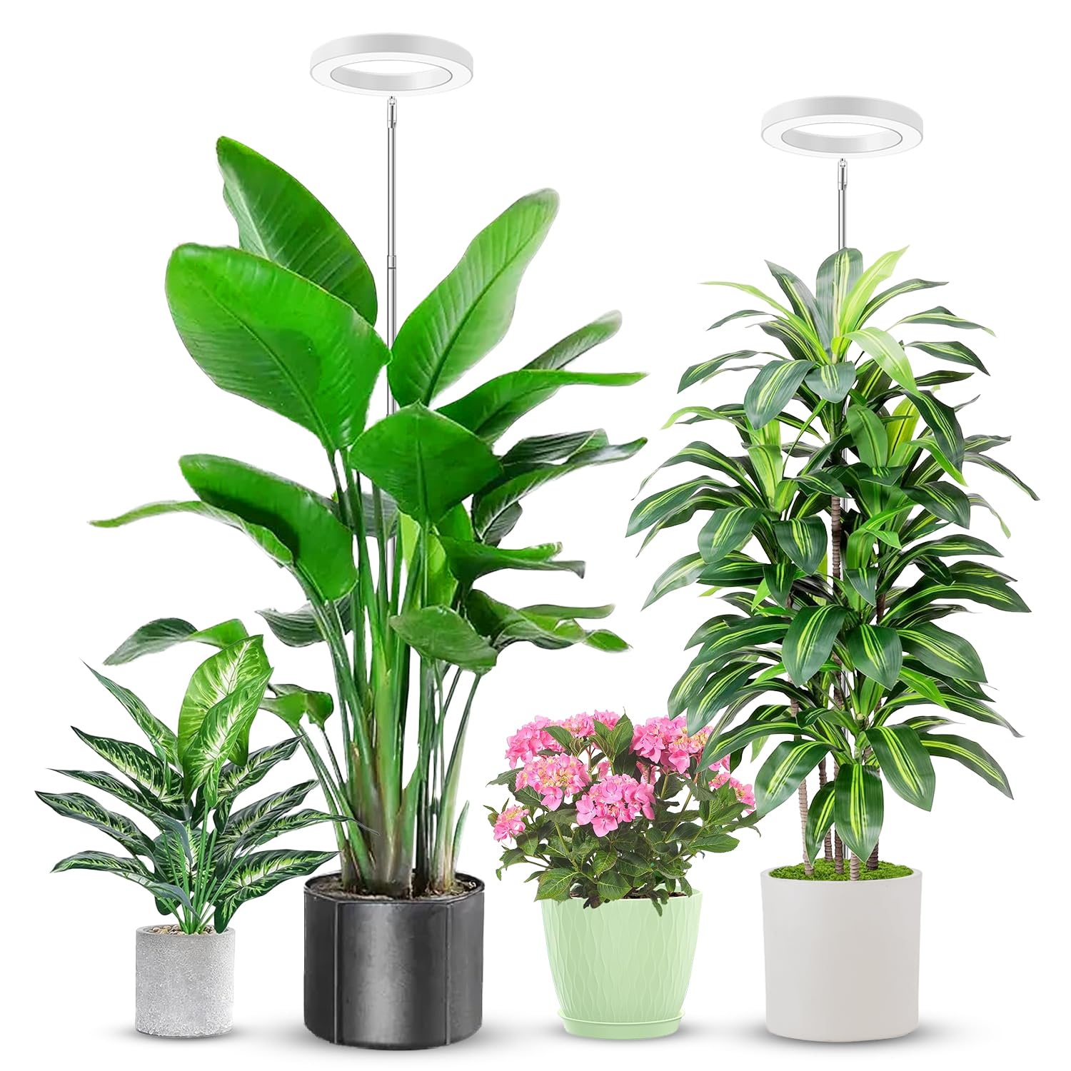 Aokrean vista frontal de la lámpara de cultivo, ilumina plantas eficientemente