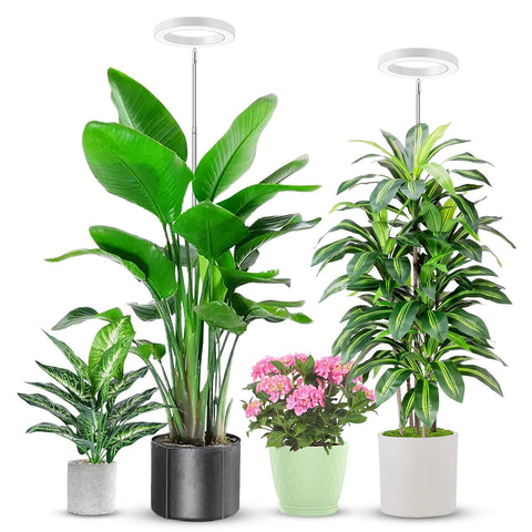 Aokrean vista frontal de la lámpara de cultivo, ilumina plantas eficientemente