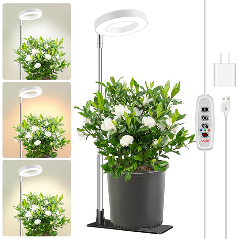 Aokrean Halo vista frontal del producto con luz uniforme y diseño elegante