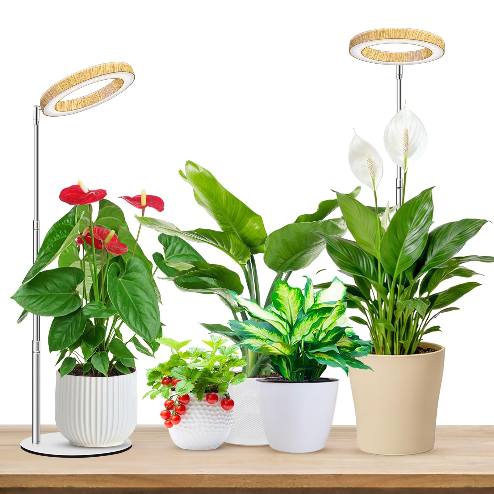 Aokrean Halo frontal mostrando diseño y estabilidad para plantas