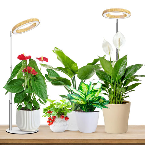 Aokrean Halo frontal mostrando diseño y estabilidad para plantas