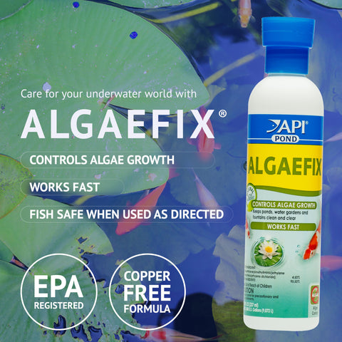 API POND ALGAEFIX etiqueta con instrucciones visibles y beneficios clave