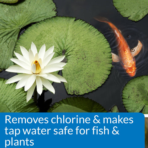 API aplicación del producto en estanque, protección inmediata para peces
