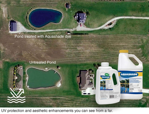 APPLIED BIOCHEMISTS Aquashade aplicado en estanque real con agua azul clara