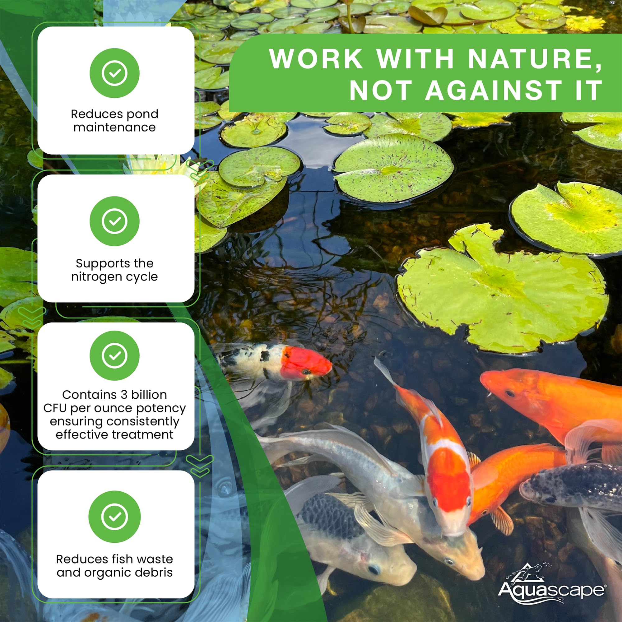 Aquascape aplicación del producto en estanque para mejorar claridad