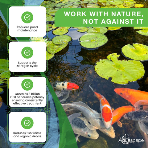 Aquascape aplicándose en estanque con agua clara, mejora visible del agua