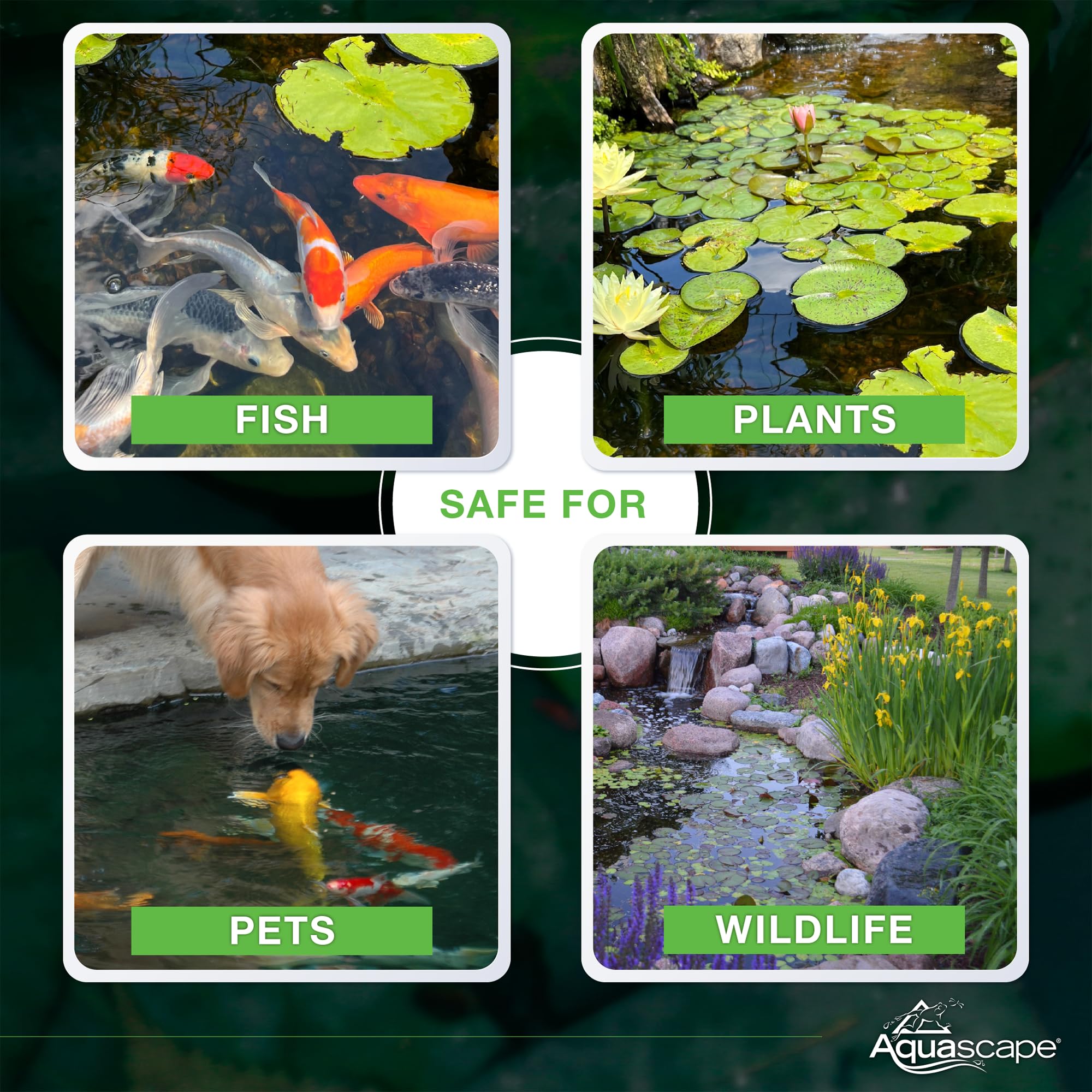 Aquascape etiqueta e ingredientes listados, transparencia sobre cepas bacterianas