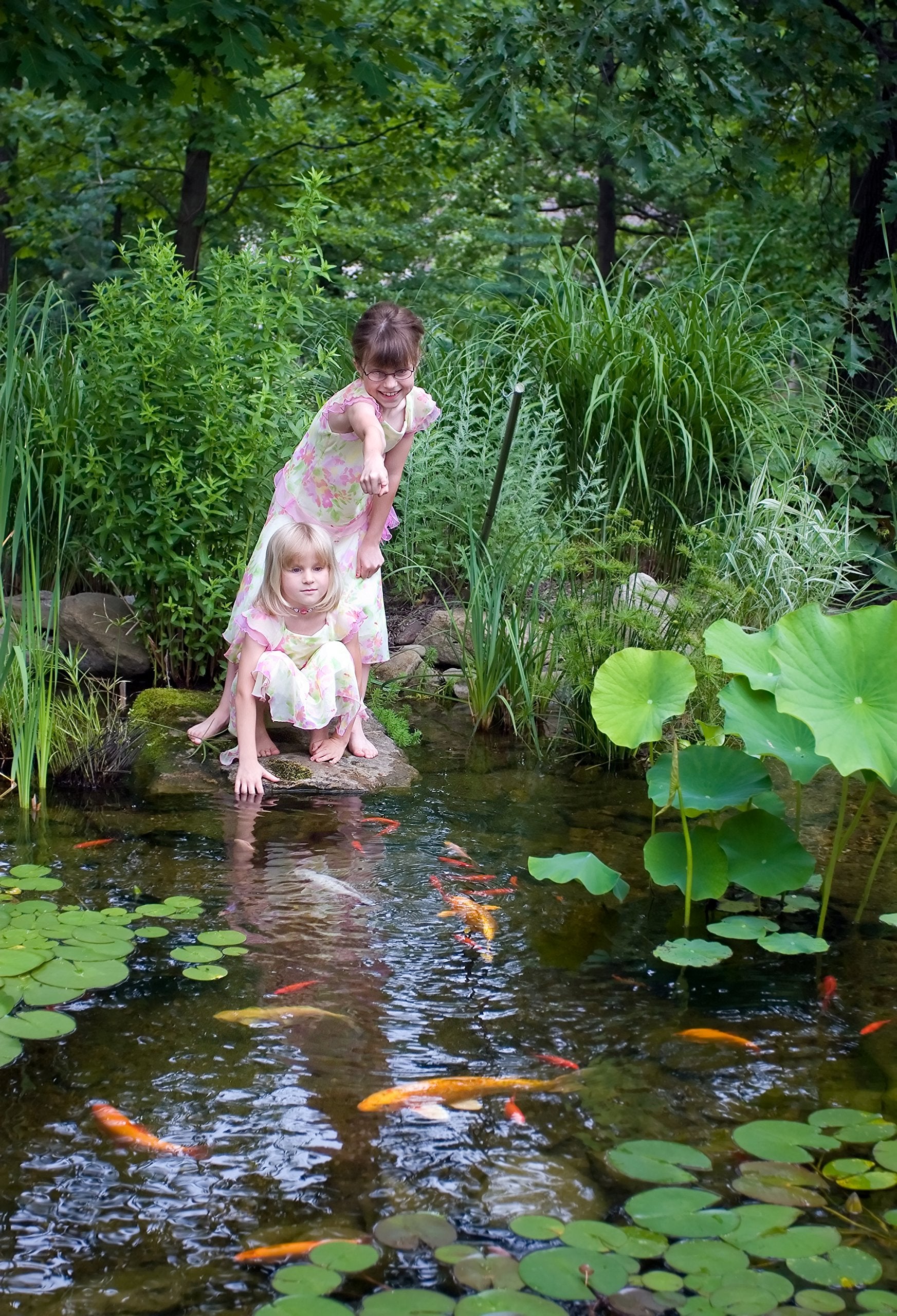 Aquascape uso en estanque aplicando líquido para agua más clara y equilibrada
