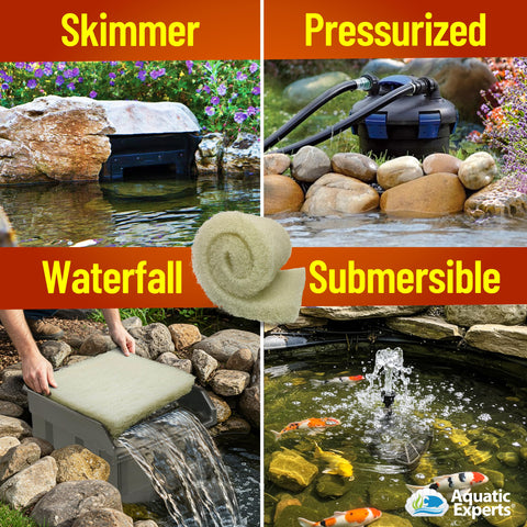 Aquatic Experts comparación de tamaño junto a una regla, referencia clara de 12x36 pulgadas