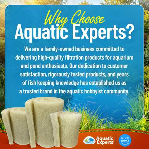 Aquatic Experts pad integrado en un estanque con koi, aspecto limpio y natural del agua