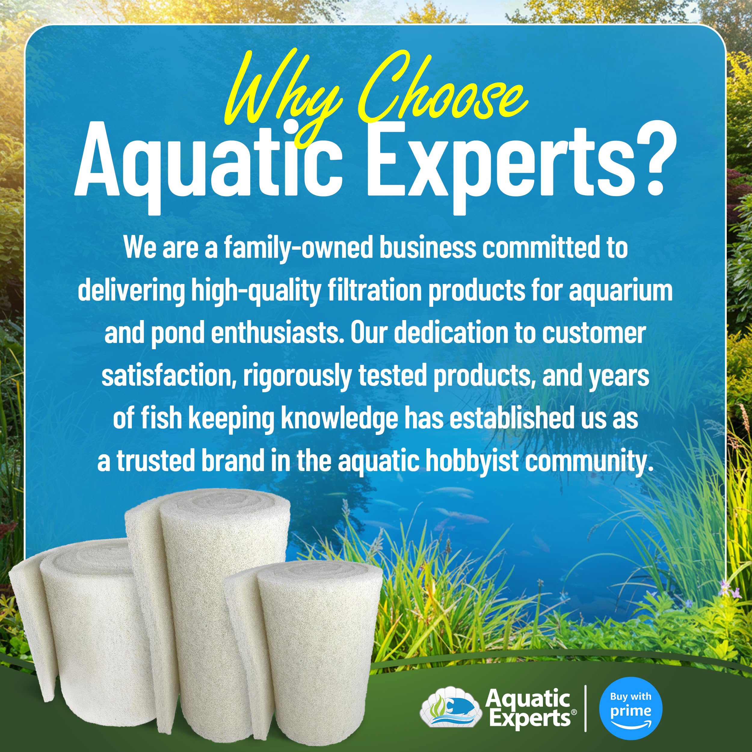 Aquatic Experts en estanque filtrando agua clara, mejora visual del agua