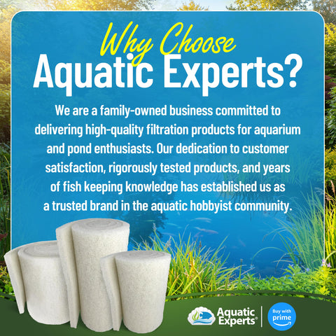 Aquatic Experts en estanque filtrando agua clara, mejora visual del agua