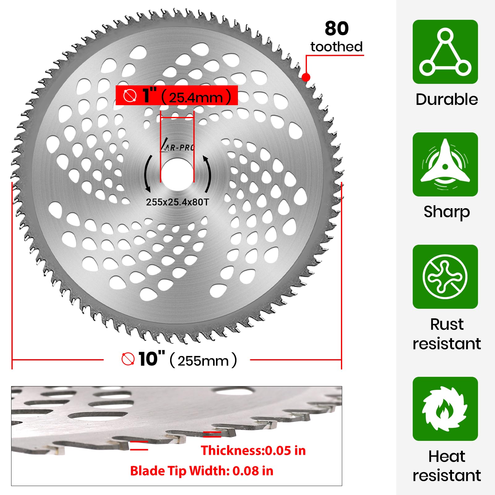 AR-PRO primer plano de dientes de carburo que mejora durabilidad