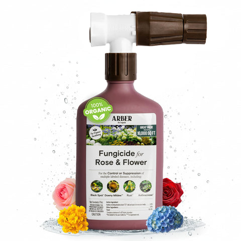 ARBER envase frontal 16 oz listo para manguera, protección rápida
