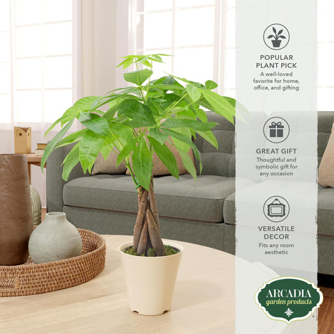 Arcadia Garden Products maceta de cultivo de 4 pulgadas con etiqueta y presentación lista