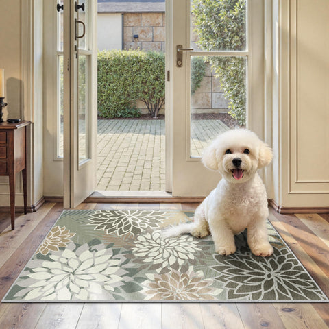 Arenarug vista frontal de la alfombra taupe 2x3 añade estilo exterior
