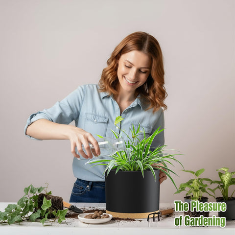 Areutxbis maceta en uso con monstera mostrando soporte para plantas grandes