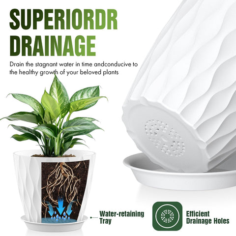 Areutxbis maceta en interior con planta aportando decoración