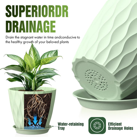 Areutxbis plato recolector que protege superficies y recoge agua