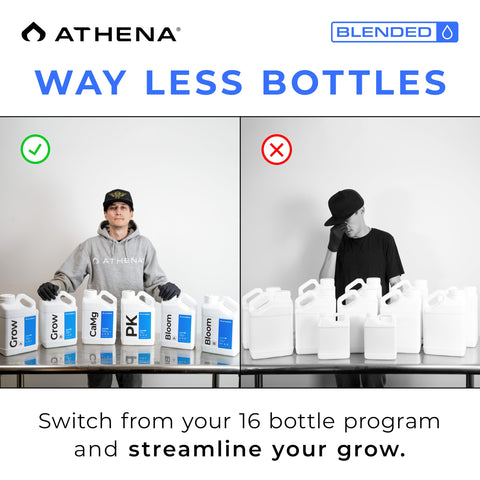 Athena aplicando en sistema de goteo, optimiza suministro continuo a plantas