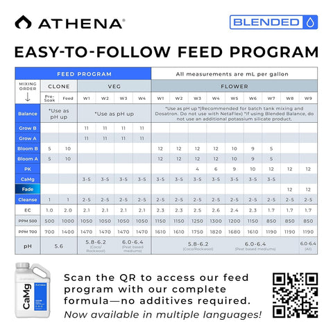 Athena textura del concentrado líquido clara para mezcla y disolución rápida