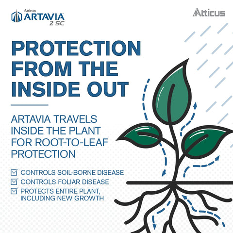Situación en vivero con plantas ornamentales tratadas con Atticus para protección prolongada