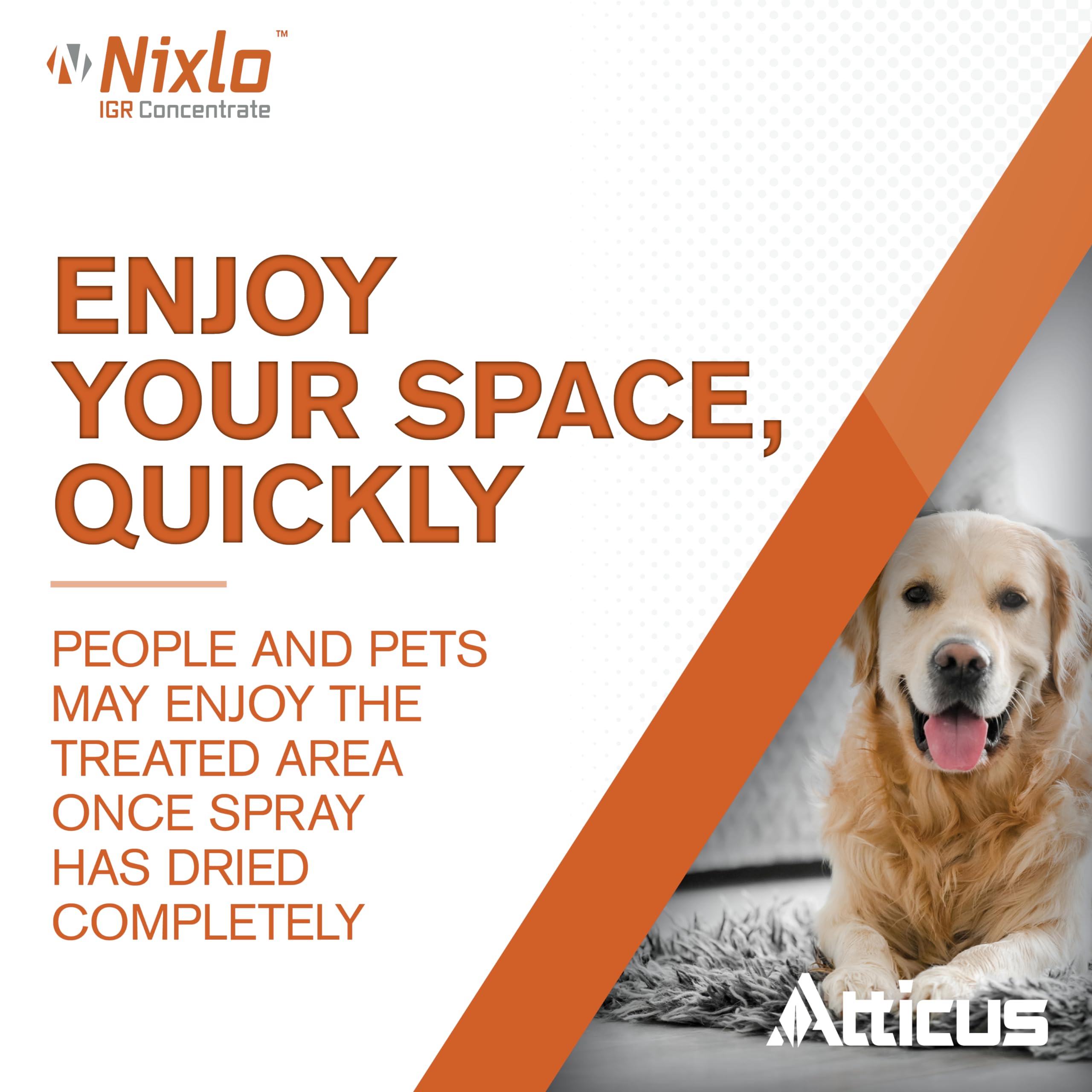 Atticus Nixlo junto a objeto para comparar tamaño y portabilidad