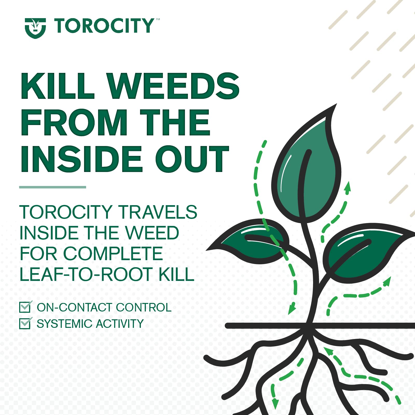 Atticus Torocity comparado con Tenacity, misma sustancia activa