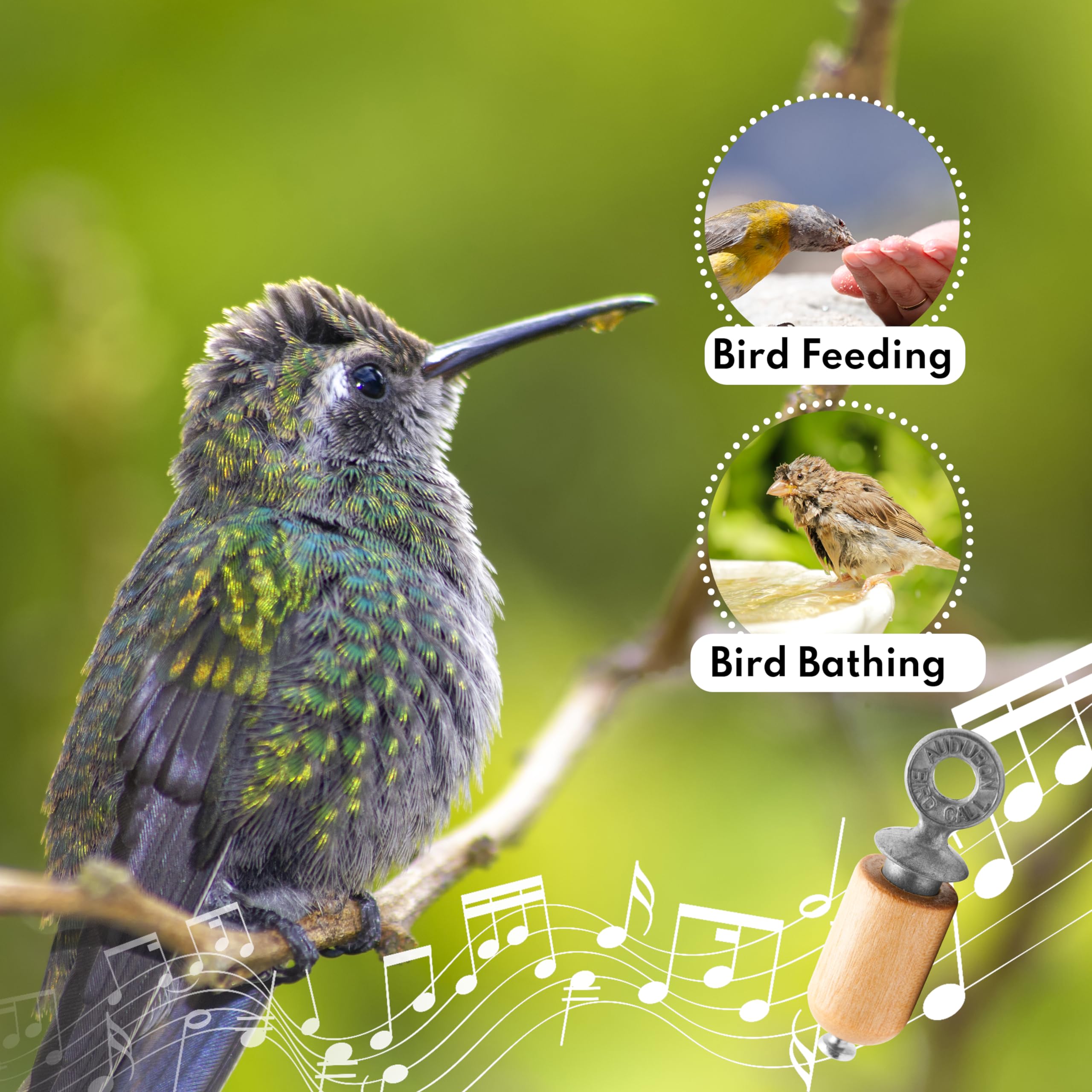 Audubon primer plano del tapón de zinc que produce el sonido claro