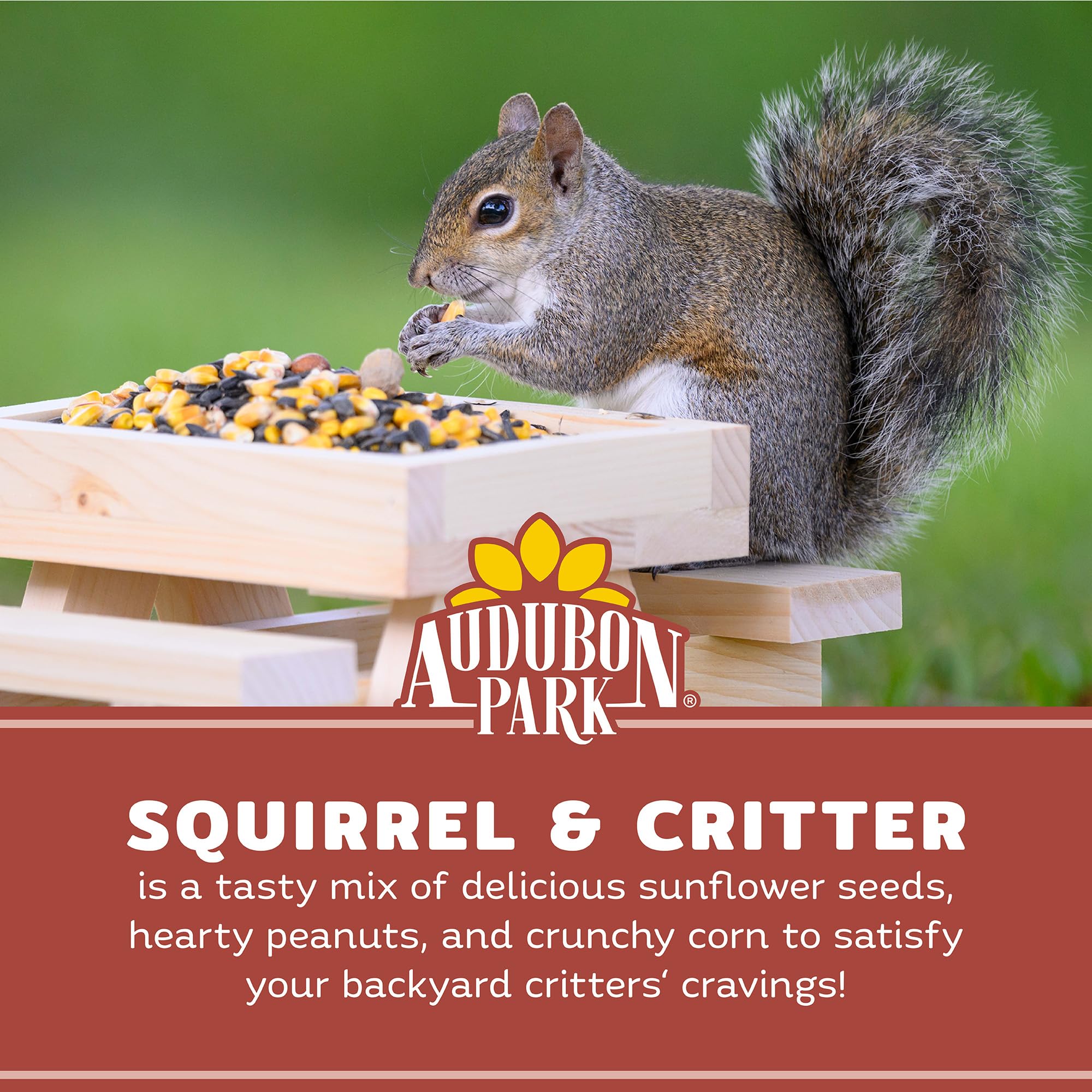 Audubon Park mezcla servida en plataforma para desviar ardillas de comederos
