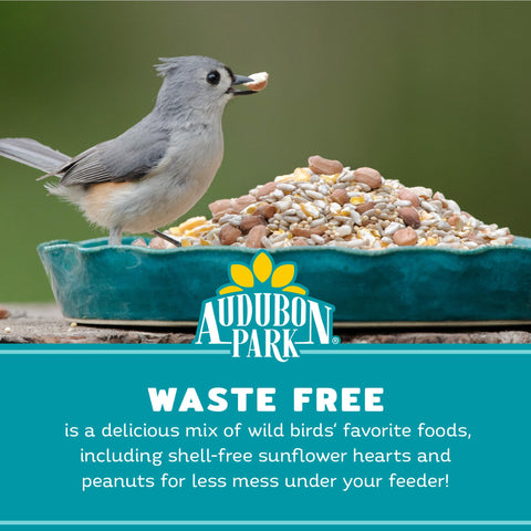 Audubon Park comedero plataforma en uso con aves disfrutando sin suciedad