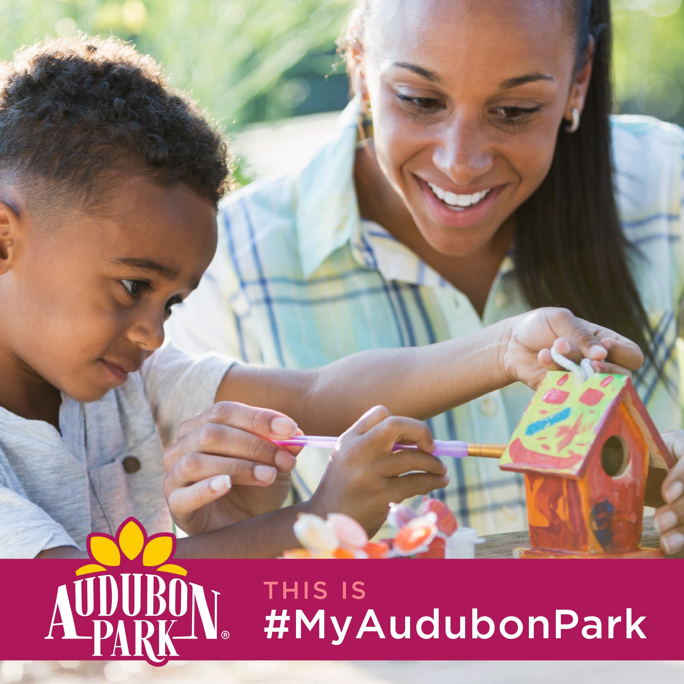 Audubon Park escena de jardín con aves comiendo, mejora observación