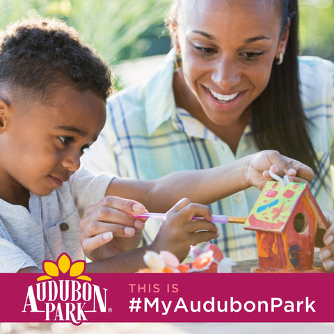 Audubon Park escena de jardín con aves comiendo, mejora observación